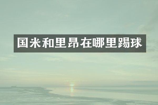 国米和里昂在哪里踢球