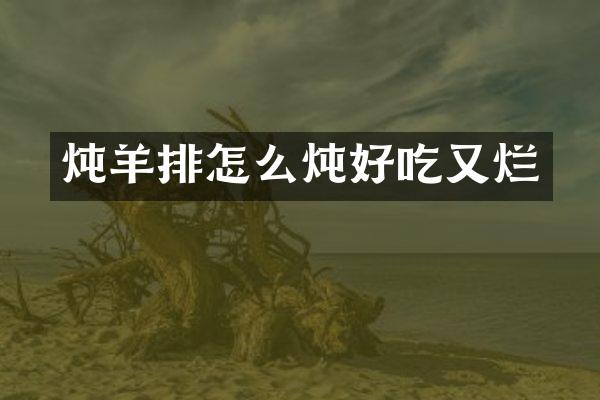 炖羊排怎么炖好吃又烂