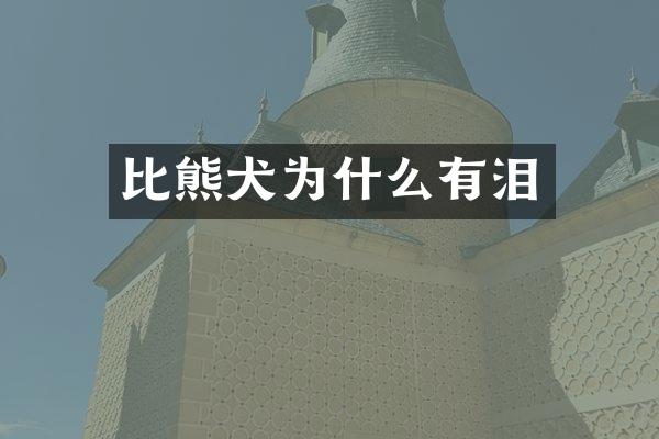 比熊犬为什么有泪