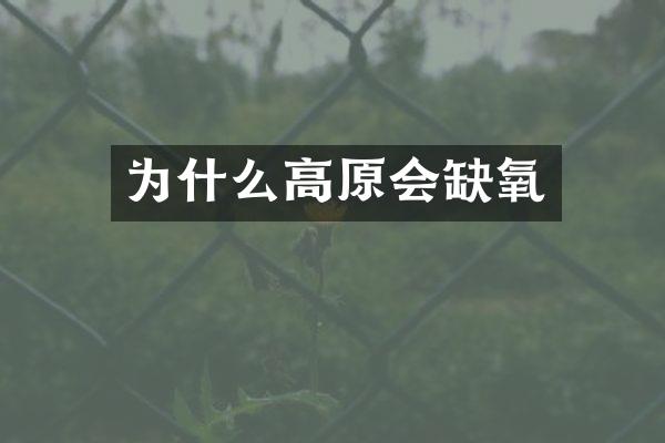 为什么高原会缺氧