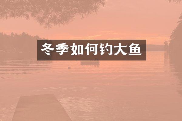 冬季如何钓大鱼
