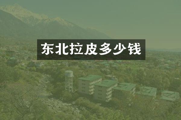 东北拉皮多少钱