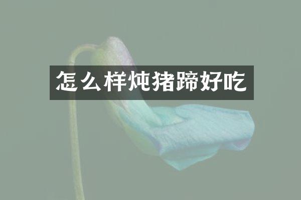 怎么样炖猪蹄好吃