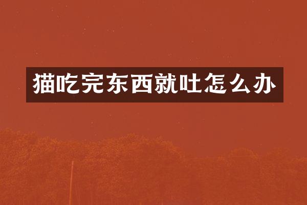 猫吃完东西就吐怎么办