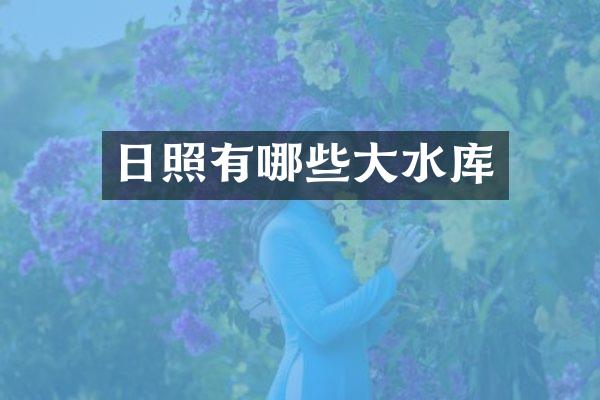 日照有哪些大水库
