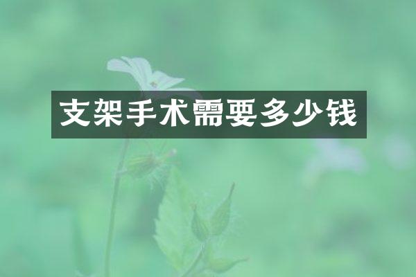 支架手术需要多少钱