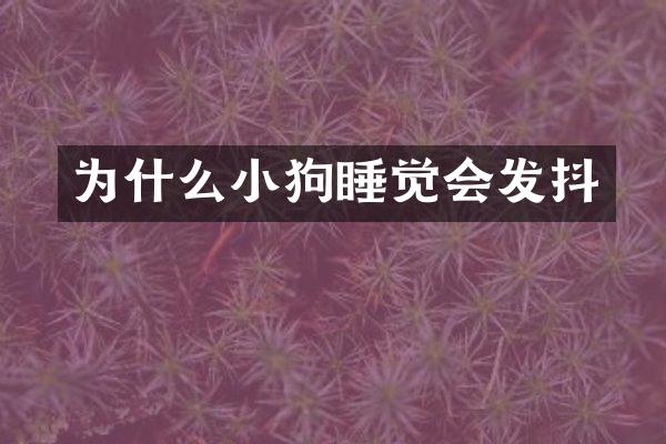 为什么小狗睡觉会发抖