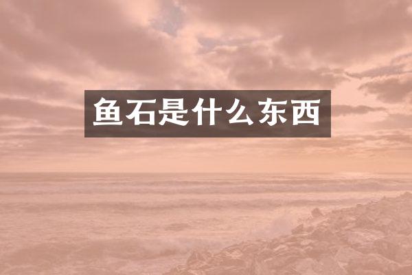 鱼石是什么东西
