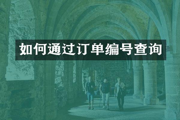 如何通过订单编号查询