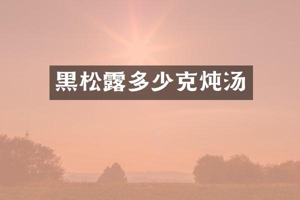 黑松露多少克炖汤