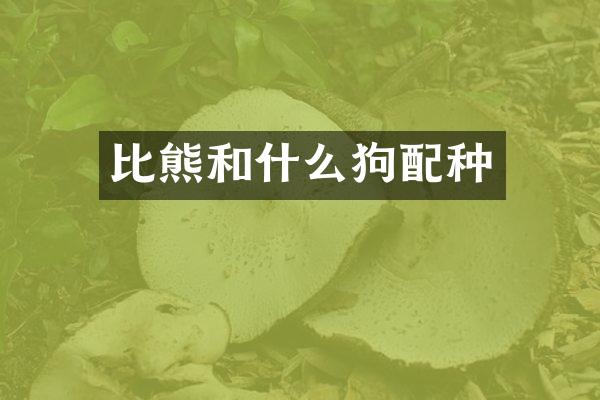 比熊和什么狗配种