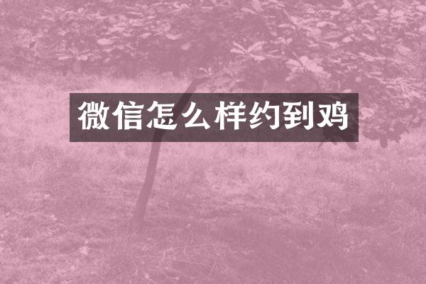 微信怎么样约到鸡