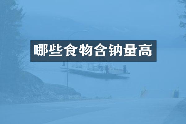 哪些食物含钠量高