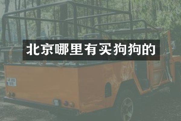 北京哪里有买狗狗的
