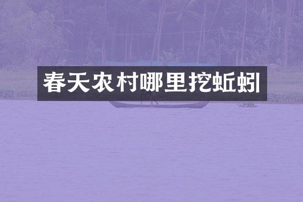 春天农村哪里挖蚯蚓