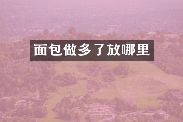 面包做多了放哪里