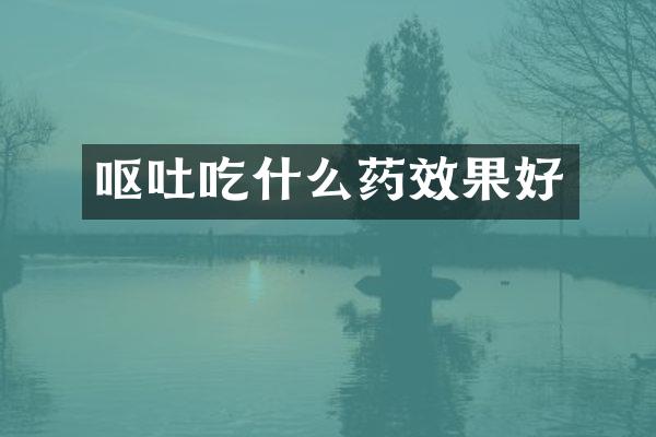 呕吐吃什么药效果好