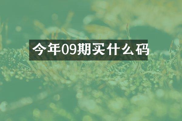 今年09期买什么码