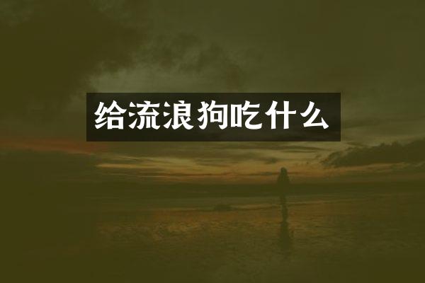 给流浪狗吃什么