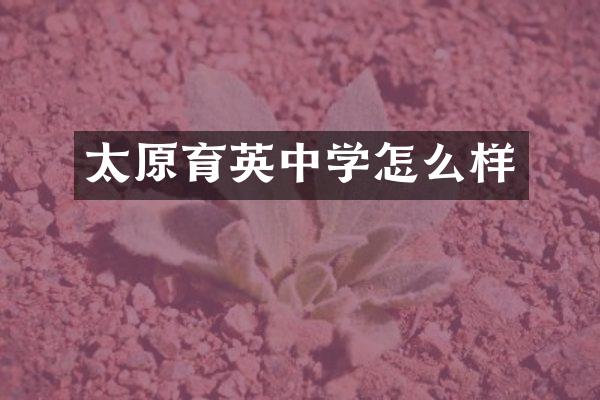 太原育英中学怎么样