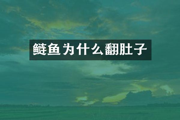鲢鱼为什么翻肚子