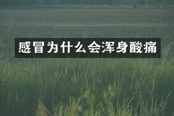 感冒为什么会浑身酸痛