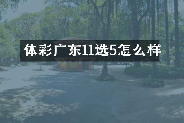 体彩广东11选5怎么样