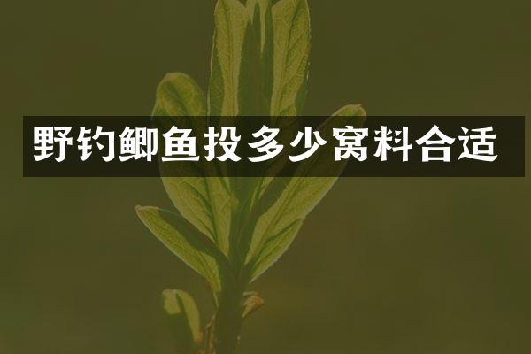 野钓鲫鱼投多少窝料合适