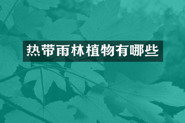 热带雨林植物有哪些