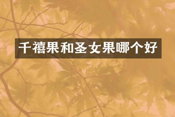 千禧果和圣女果哪个好