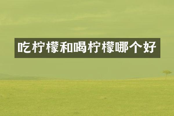 吃柠檬和喝柠檬哪个好