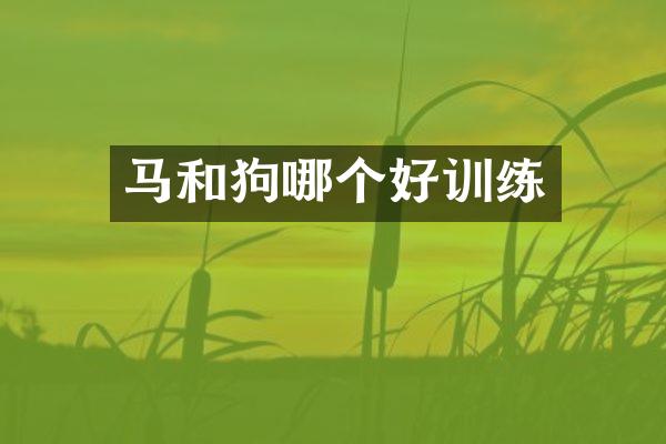 马和狗哪个好训练