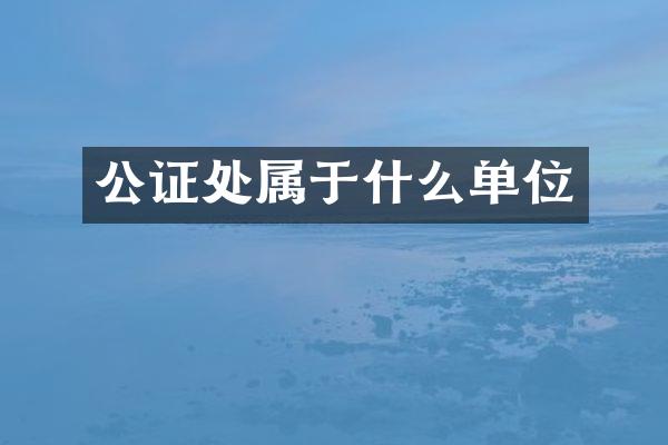 公证处属于什么单位