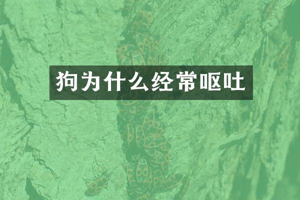 狗为什么经常呕吐