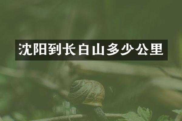 沈阳到长白山多少公里
