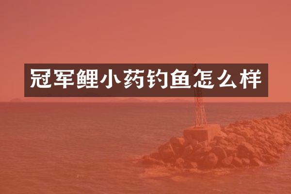 冠军鲤小药钓鱼怎么样