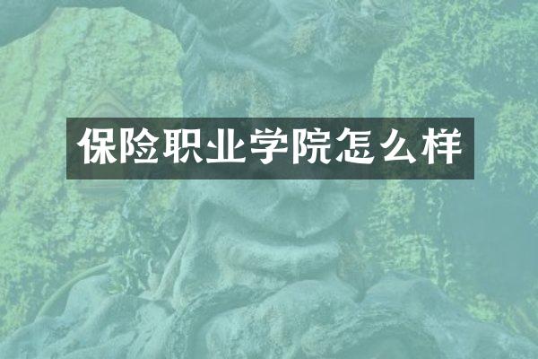保险职业学院怎么样