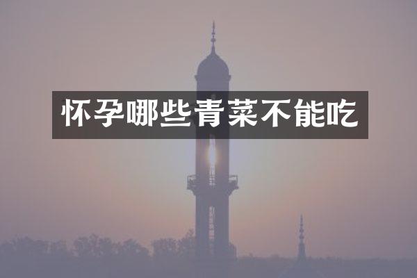 怀孕哪些青菜不能吃