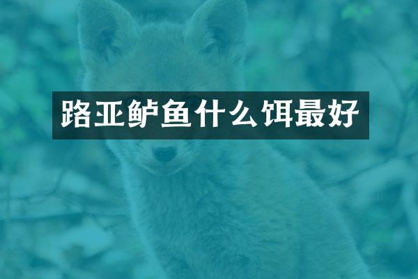 路亚鲈鱼什么饵最好