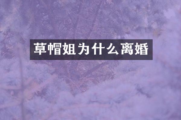 草帽姐为什么离婚