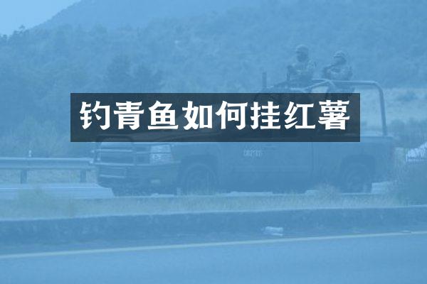 钓青鱼如何挂红薯