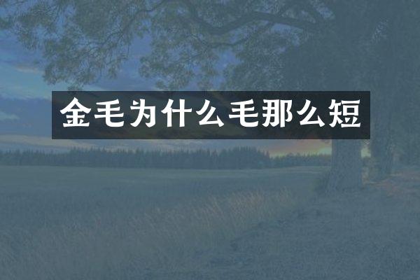 金毛为什么毛那么短