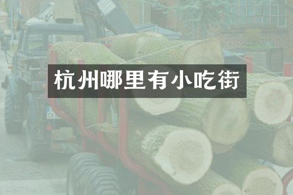 杭州哪里有小吃街