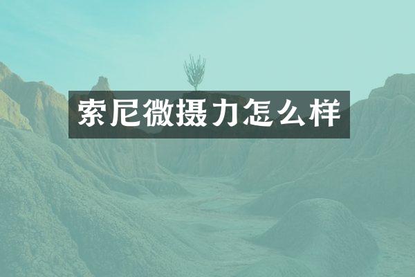 微摄力怎么样