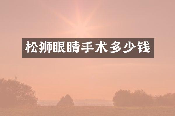 松狮眼睛手术多少钱