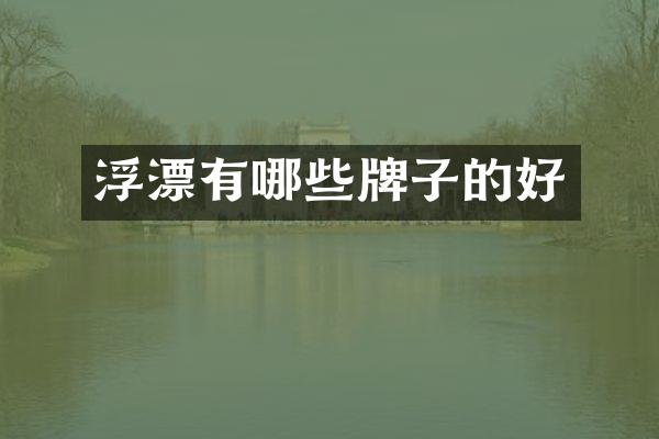 浮漂有哪些牌子的好