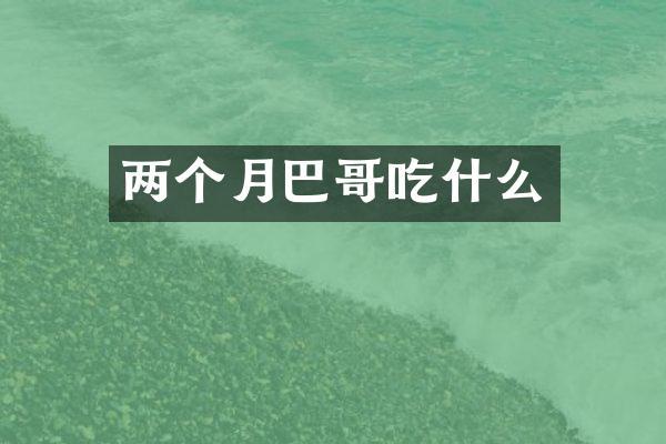 两个月巴哥吃什么