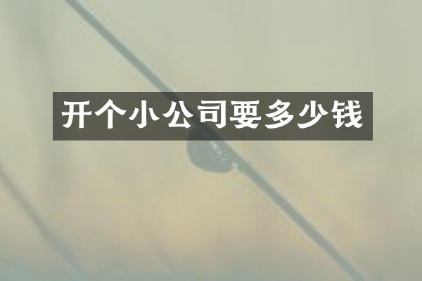 开个小公司要多少钱