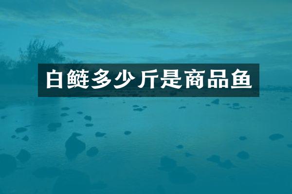 白鲢多少斤是商品鱼