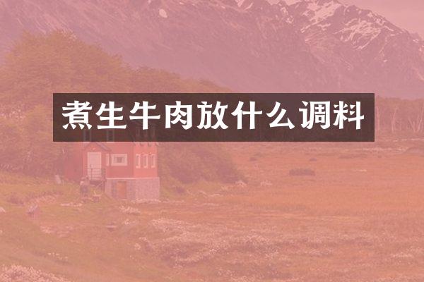 煮生牛肉放什么调料